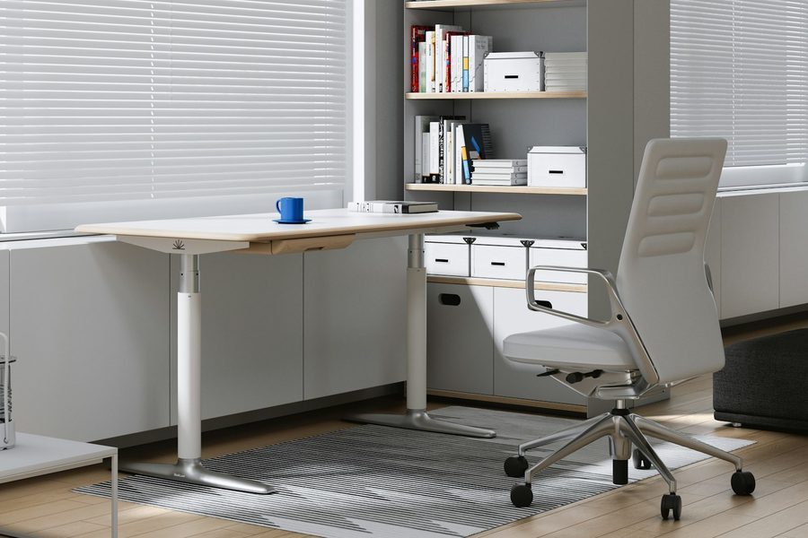 Helles Büro mit weißem Schreibtisch, grauem Bürostuhl und einem Regal mit Ordnern und Aktenboxen